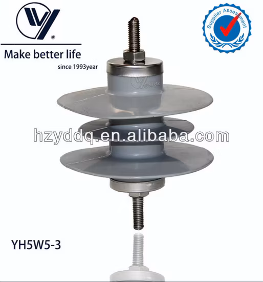 33 Kv Outdoor Power Distribution Silicon Gapless Lightning Surge Arrester