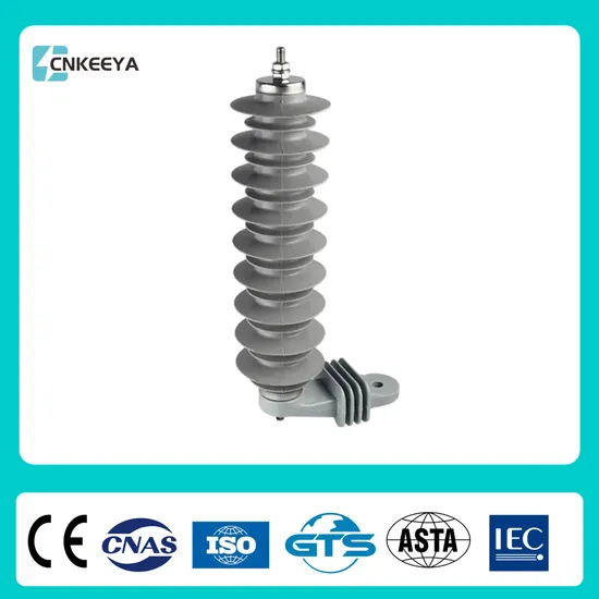 Cnkeeya 24kv Polymeric ZnO Lightning Arrester/Surge Arrester for Transmission and Distribution Line 